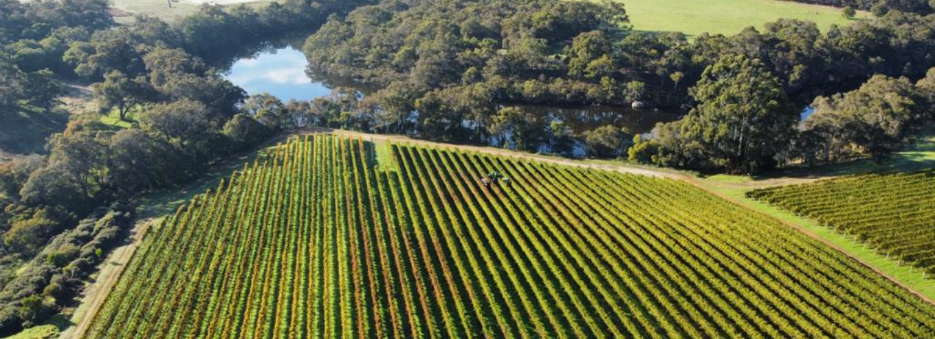 Monty's Leap aerial view of vineryard